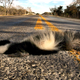 Image for article titled The Ten Worst States To Drive Across